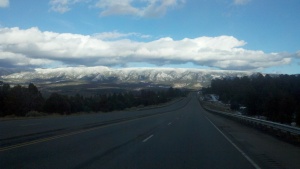 New Mexico Road